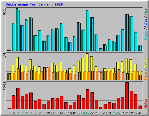 Daily usage for January 2020