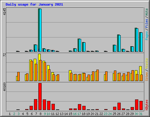 Daily usage for January 2021