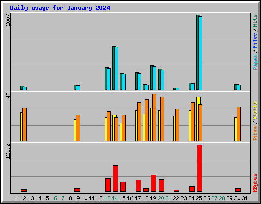 Daily usage for January 2024