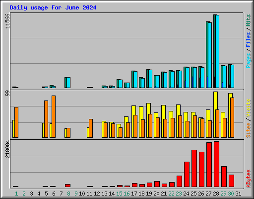 Daily usage for June 2024