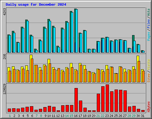 Daily usage for December 2024
