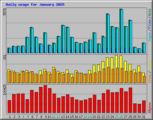 Daily usage for January 2025