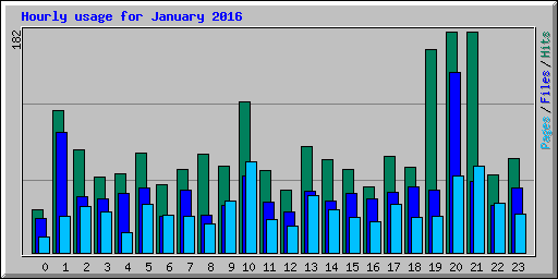 Hourly usage for January 2016