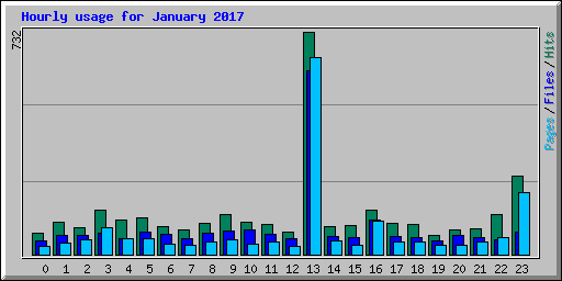 Hourly usage for January 2017