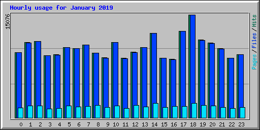 Hourly usage for January 2019