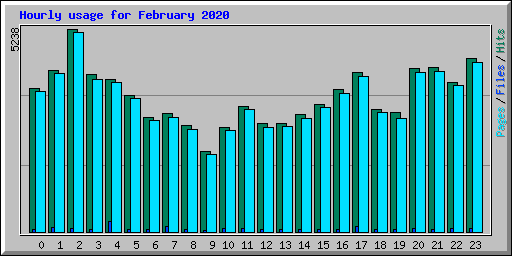 Hourly usage for February 2020