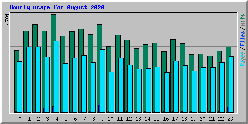 Hourly usage for August 2020
