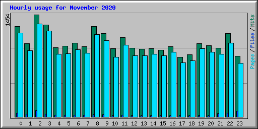 Hourly usage for November 2020
