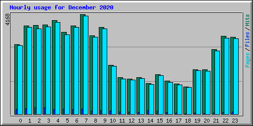 Hourly usage for December 2020