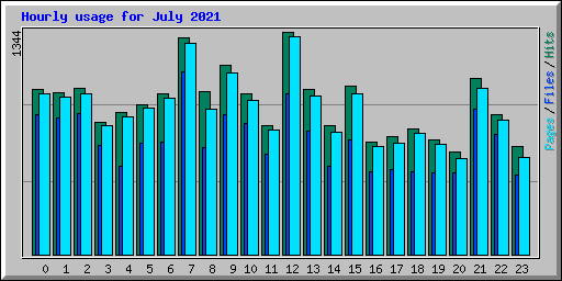 Hourly usage for July 2021
