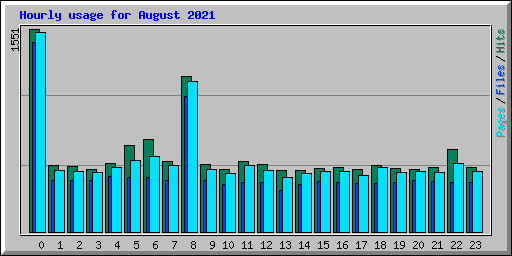 Hourly usage for August 2021