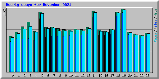 Hourly usage for November 2021