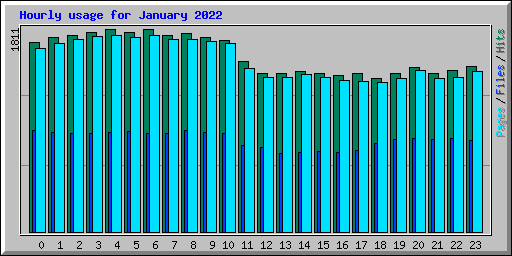 Hourly usage for January 2022