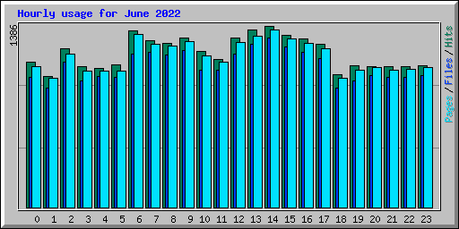 Hourly usage for June 2022