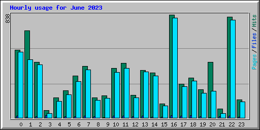 Hourly usage for June 2023
