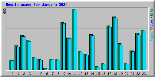 Hourly usage for January 2024