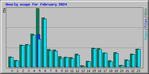Hourly usage for February 2024