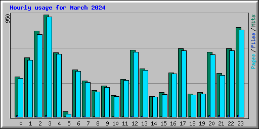 Hourly usage for March 2024