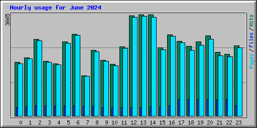 Hourly usage for June 2024