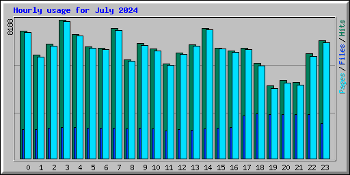 Hourly usage for July 2024