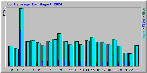 Hourly usage for August 2024
