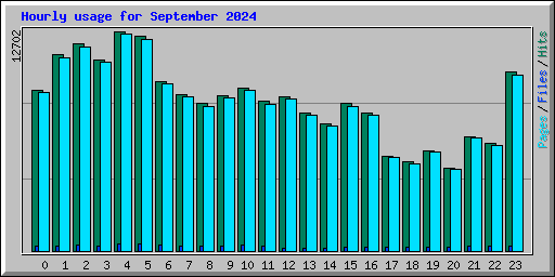 Hourly usage for September 2024