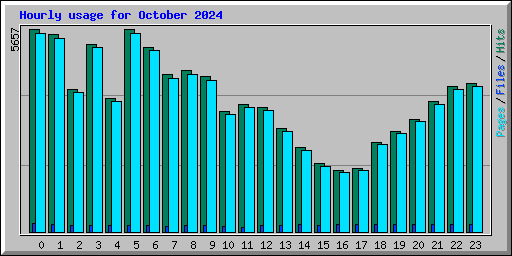 Hourly usage for October 2024