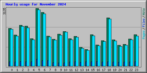 Hourly usage for November 2024