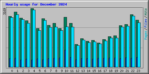 Hourly usage for December 2024