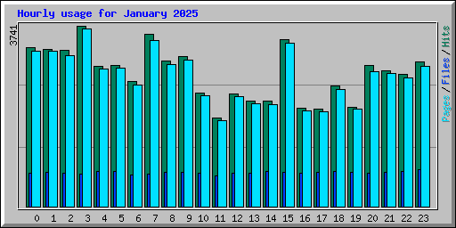 Hourly usage for January 2025