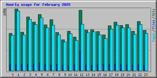 Hourly usage for February 2025