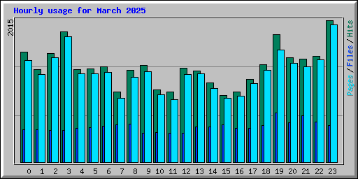 Hourly usage for March 2025