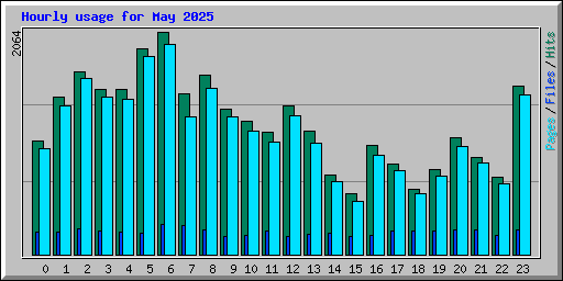 Hourly usage for May 2025