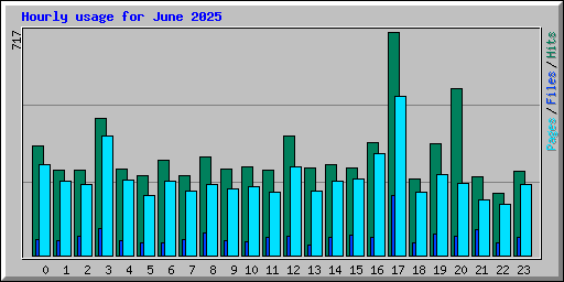 Hourly usage for June 2025