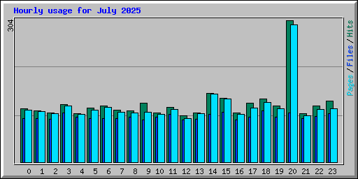 Hourly usage for July 2025