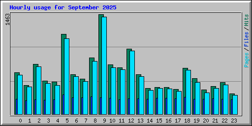 Hourly usage for September 2025